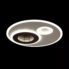 Накладной светильник Lumion Milly 4501/85CL