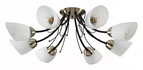 Потолочная люстра Lumion Eliana 4592/8C
