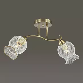 Светильник на штанге Lumion Rozetta 3109/2C