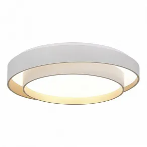 Накладной светильник EVOLUCE Crosby SLE6009-502-01