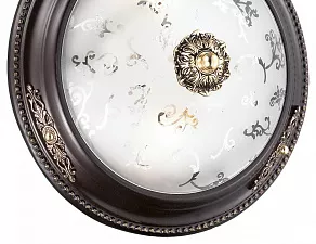 Накладной светильник Odeon Light Corbea 2671/2C
