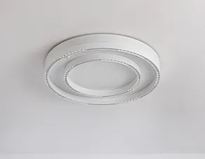 Накладной светильник Ambrella FL FL5821
