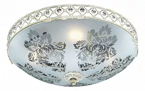 Накладной светильник Odeon Light Aspena 2777/4C