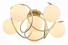 Потолочная люстра EVOLUCE Acini SL711.202.06