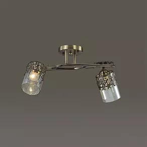 Спот Lumion Mirela 3097/2CA