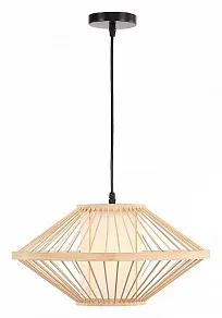 Подвесной светильник ST-Luce ALMA SL6241.533.01