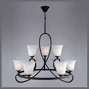 Подвесная люстра Eurosvet Asteriya 251/9