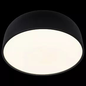 Накладной светильник Loft it Axel 10201/480 Black