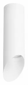 Накладной светильник Lightstar Rullo R48636