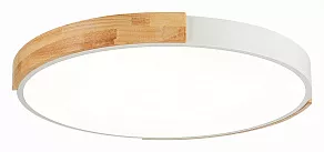 Накладной светильник EVOLUCE Delia SLE201352-01