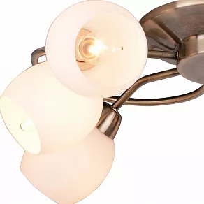 Потолочная люстра Arte Lamp Silvana A4033PL-6AB