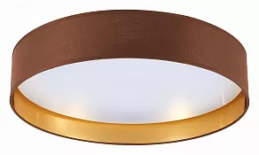 Накладной светильник EVOLUCE Brescia SLE300592-01