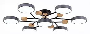 Потолочная люстра EVOLUCE Faema SLE6006-702-07