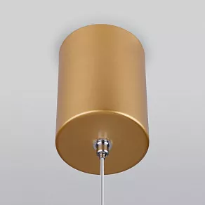 Подвесной светильник Elektrostandard DLS028 a047770