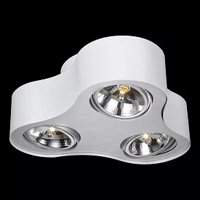 Накладной светильник Arte Lamp Cliff A5643PL-3WH
