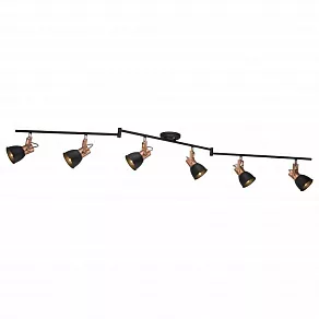 Спот Arte Lamp 1677 A1677PL-6BK