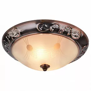 Накладной светильник Arte Lamp Alta A3014PL-2AC