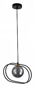 Подвесной светильник Indigo Spazio 11017/1P Black