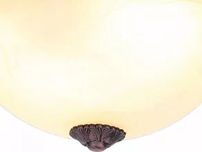 Накладной светильник Arte Lamp Piatti A8007PL-2CK
