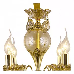 Подвесная люстра Arte Lamp Solfeggio A8791LM-8GO