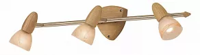 Спот Citilux Монте CL505531