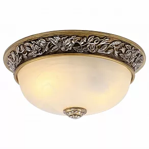 Накладной светильник Arte Lamp Torta A7141PL-2SB