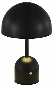 Настольная лампа декоративная EVOLUCE Eclat SLE1806-404-01