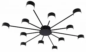 Потолочная люстра Rivoli Leona 3184-312