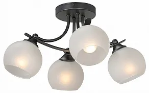 Потолочная люстра Vitaluce V2564 V2564-1/4PL