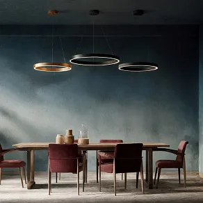 Подвесной светильник Denkirs RAYDIA DK6273-BK