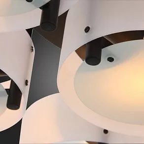 Потолочная люстра EVOLUCE Foresta SL483.402.07