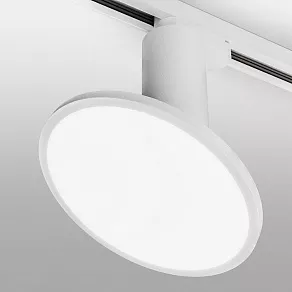 Светильник на штанге Elektrostandard Brain LTB50