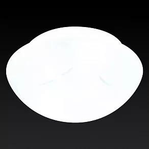 Накладной светильник TopLight Sandra TL9410Y-02WH