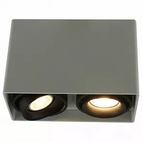 Накладной светильник Arte Lamp 5655 A5655PL-2WH