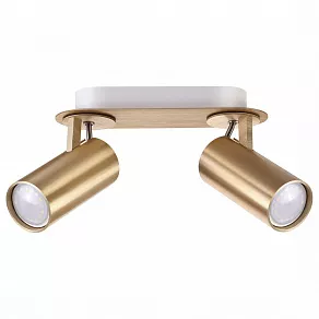 Спот Odeon Light Corse 3876/2C