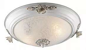 Накладной светильник Odeon Light Bone 2692/2C