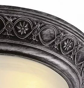 Накладной светильник Arte Lamp Piatti A8009PL-2SB