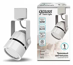 Светильник на штанге Gauss TR TR012