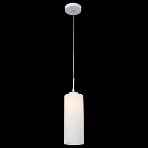 Подвесной светильник ST-Luce Sotti SL754.503.01