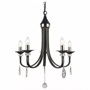 Подвесная люстра Arte Lamp Dallas A8540LM-5BK