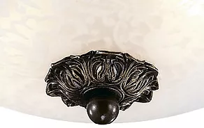 Накладной светильник Odeon Light Bone 2693/2C