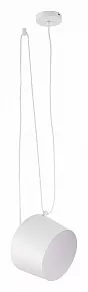 Подвесной светильник EVOLUCE Trieste SLE120653-01