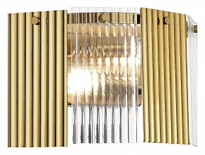 Накладной светильник EVOLUCE Tresa SLE1123-301-02