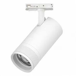 Светильник на штанге Lightstar Canno Pro C4306SS