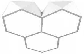 Накладной светильник Omnilux Evesham OML-45307-60