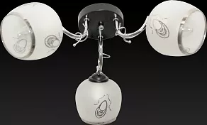 Потолочная люстра TopLight Krystal TL7400X-03BC