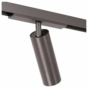 Светильник на штанге Lucide Linial 55902/10/08