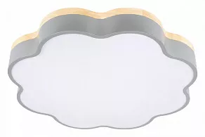 Накладной светильник Loft it Axel 10225/36 Grey