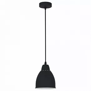 Подвесной светильник Arte Lamp Braccio A2054SP-1BK
