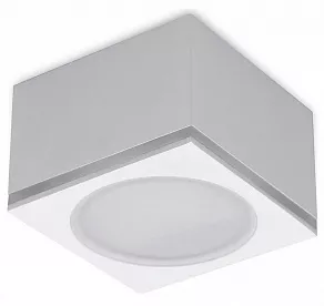 Накладной светильник Ambrella TN TN266